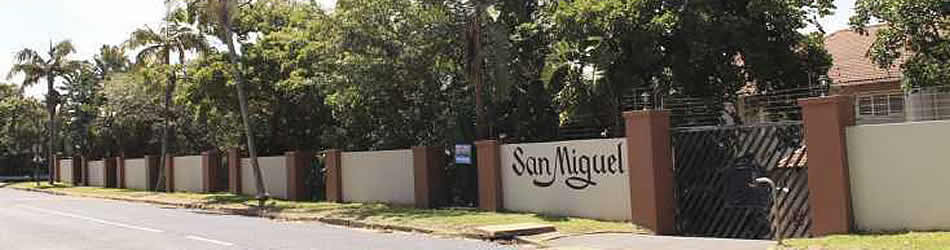 4 San Miguel